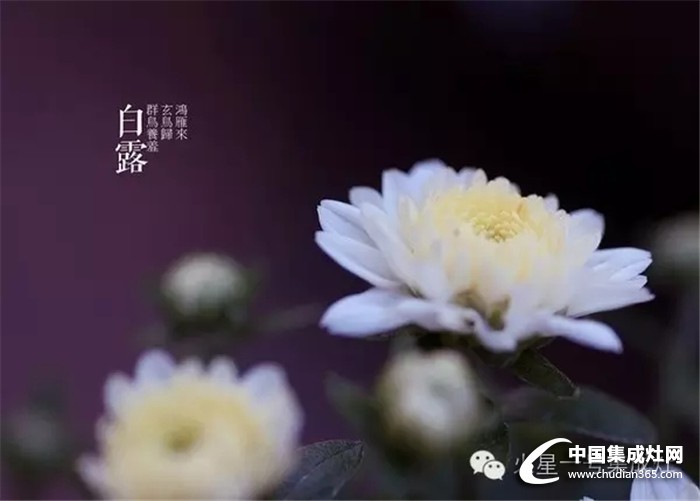 白露至秋意濃，火星一號教你怎么應(yīng)對秋寒