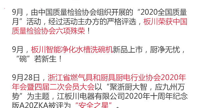 板川集成灶2020年度報(bào)告PC