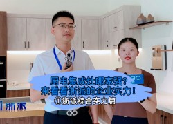 廚電集成灶哪家強？來看看浙派集成灶的企業(yè)實力！ (1684播放)