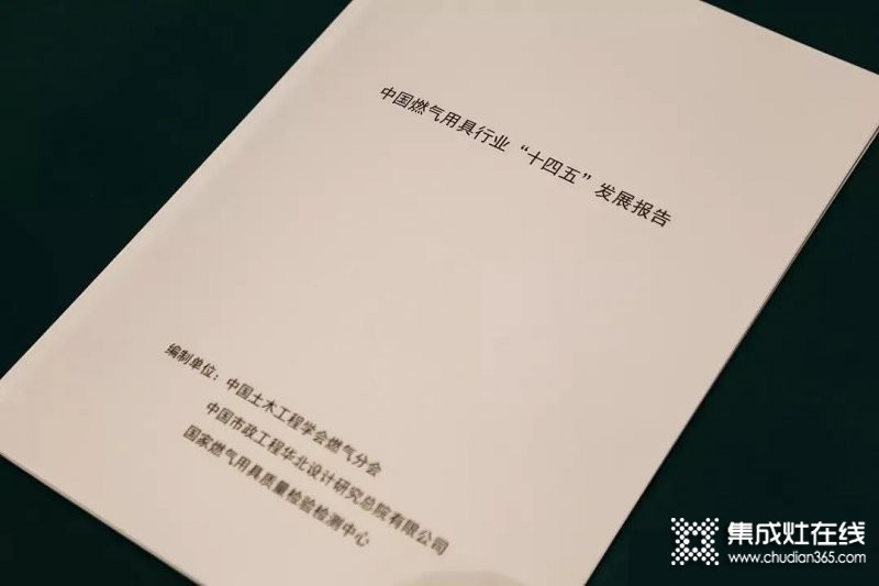 《中國(guó)燃?xì)饩咝袠I(yè)“十四五”發(fā)展報(bào)告》重磅首發(fā)，從多方面指出行業(yè)發(fā)展建議意見(jiàn)！_2