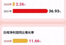 帥豐電器2021年報：營收、凈利潤實現(xiàn)雙位數(shù)增長 (1091播放)