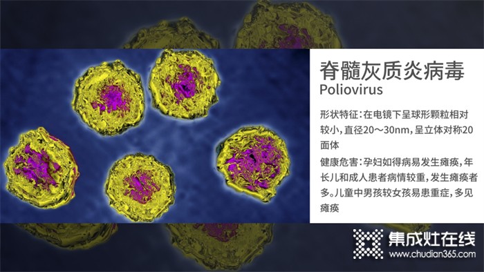 四星級除菌是什么概念？為什么要用四星級除菌洗碗機？森歌為你解答！