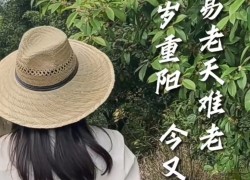 【重陽節(jié)桂花糕】“桂花雨”落在松軟的米糕上，連著桂花蜜的甜味融化在舌尖上，這份獨屬于秋天的歡迎儀式，連帶著重陽節(jié)的獻禮一起和大家分享！ ()